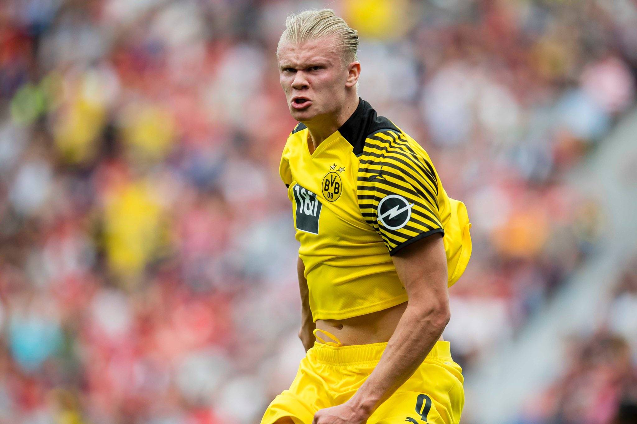 先手经济学 先手经济学